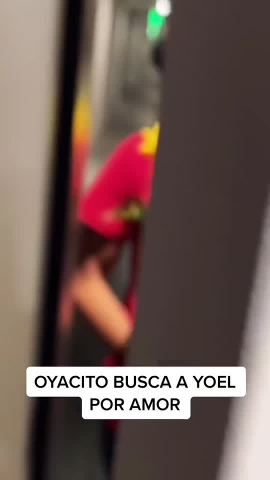 7298161087290133802