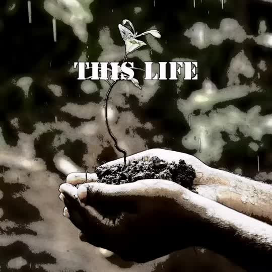 7097845457338109185