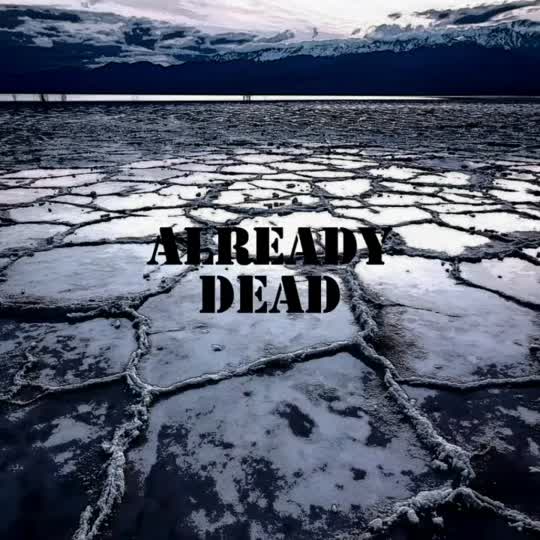 7119032698450103554
